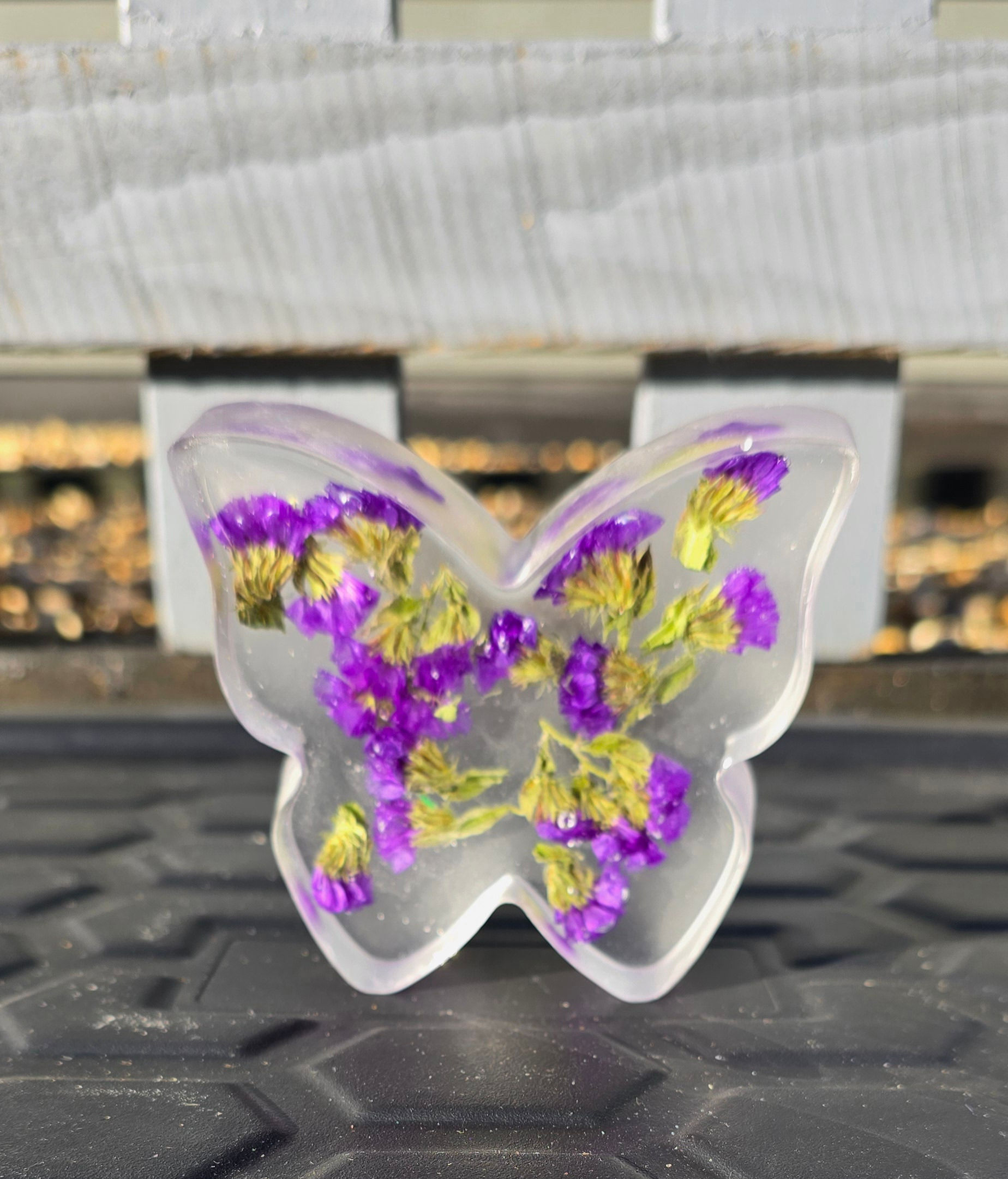 M2 Butterfly