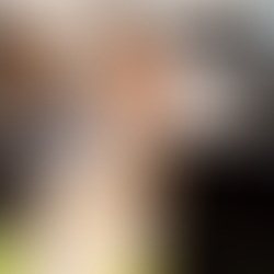 Comunicação e negociação: duas habilidades essenciais para o sucesso. 