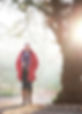 DSC_6183fvs_low.jpg