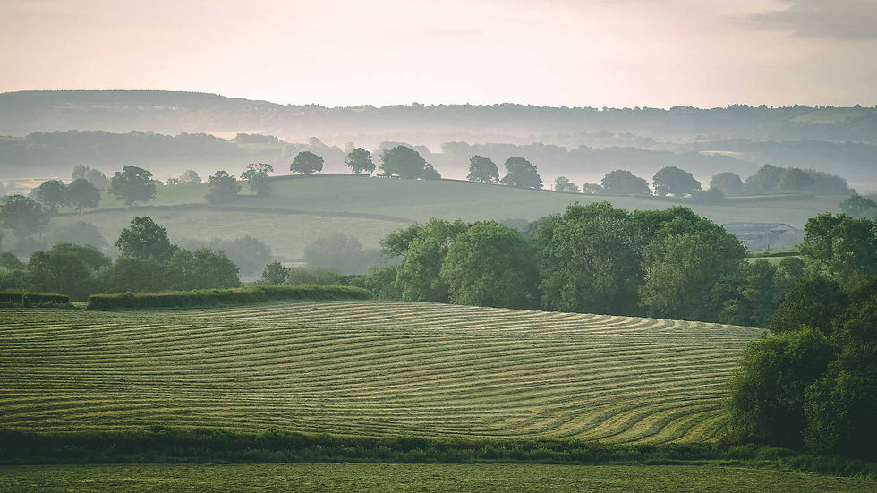peaceful field landscape from the Cotwolds, calm setting for EFT Therapy 