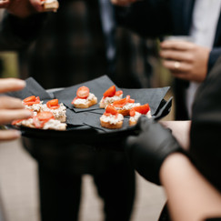 Butler passed appetizers