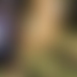 [GRAND MARCHÉ, samedi 4 avril de 8h/13h]