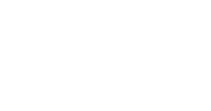 Sem título-2_Prancheta 1.png