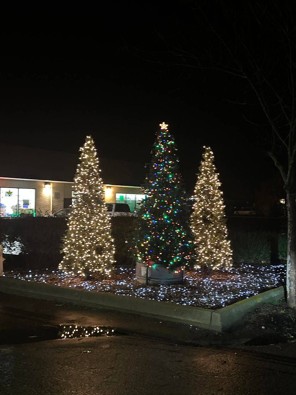 California Custom Iron was proud to donate and decorate Christmas trees for our small local town! We hope it brings local families holiday cheer!
