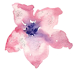 falak RIL decor_edited.png