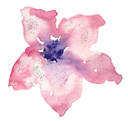 falak RIL decor_edited.png
