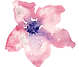 falak RIL decor_edited.png