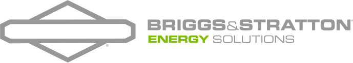 Briggs and Stratton Logo .webp