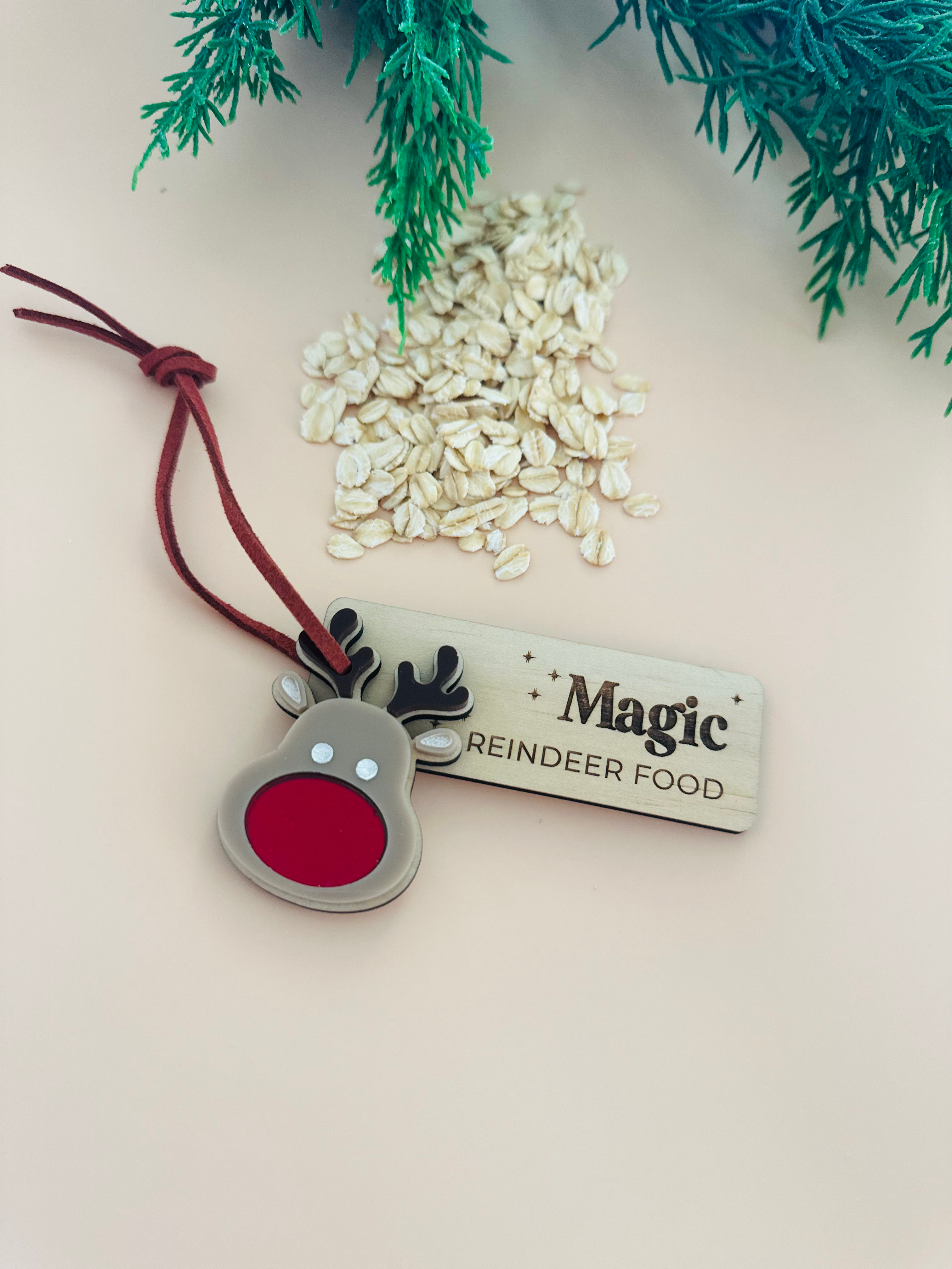 Magic Reindeer Food Tag