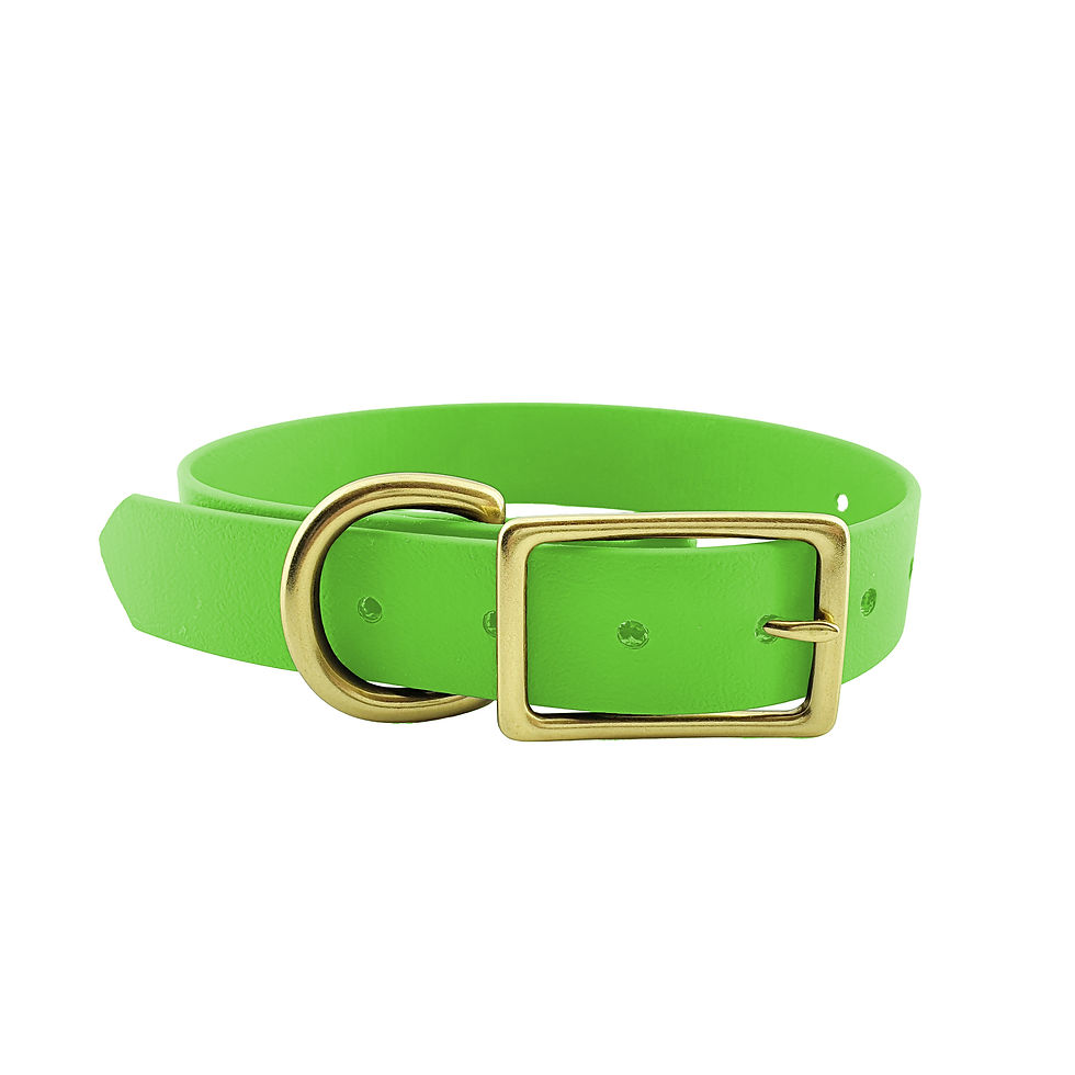 Pastel Green Collar