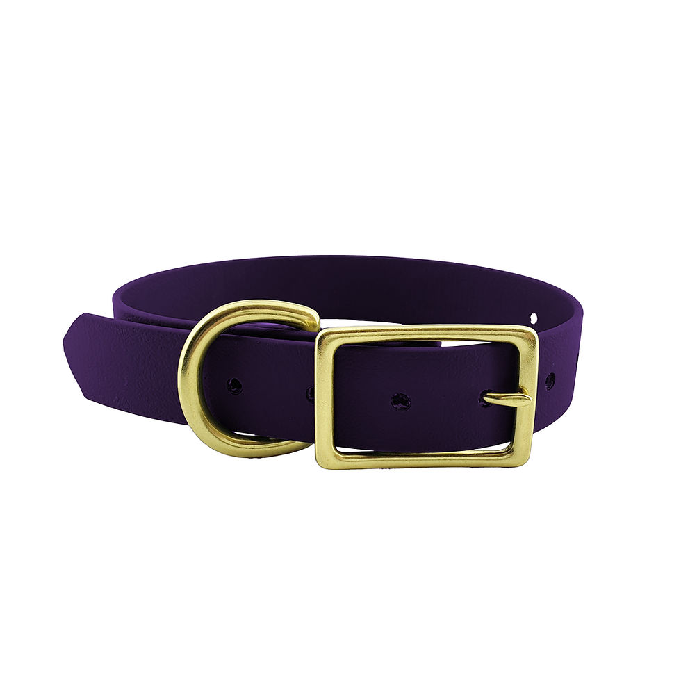 Purple Collar