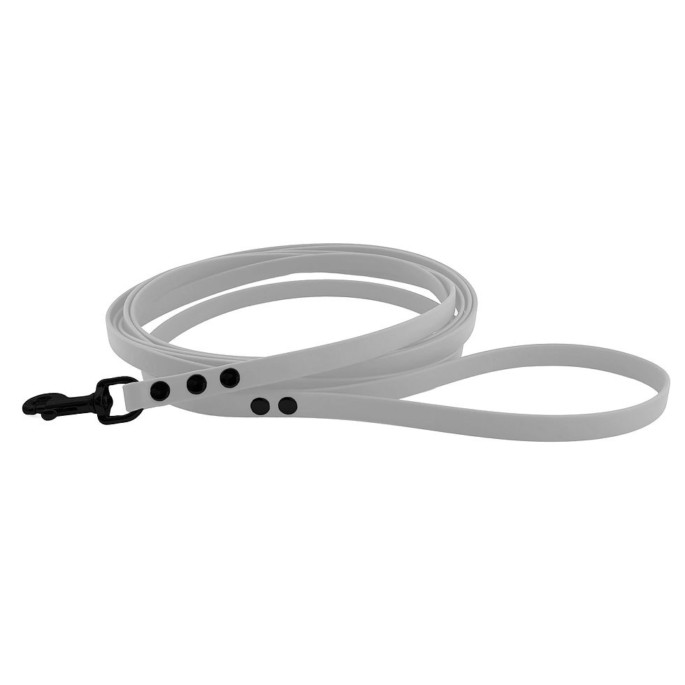 Thumbnail: White Long Line