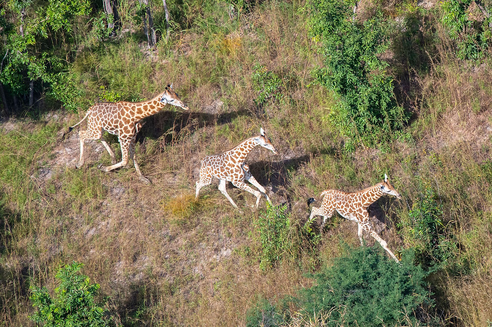 Siniaka Minia Reserve