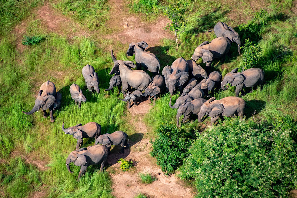 Zakouma National Park