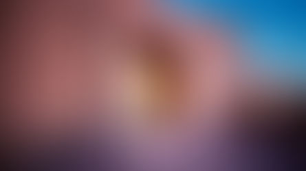 An Oasis for the Senses: Rita Deanin Abbey Art Museum Announces Nov. Events