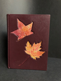 Autumn Journal: Catskills Sugar Maple Leaves