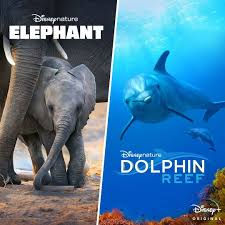 Reviews: 3 Nature Documentaries