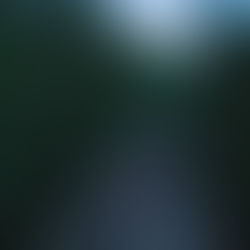 Review: "Train Dreams"