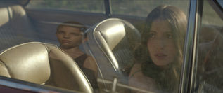 Review: "Fever Dream"