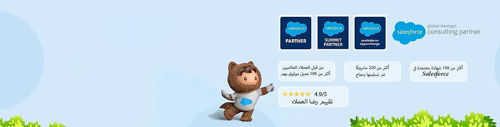 service-salesforce.png