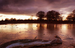 Bushy Park, Teddington