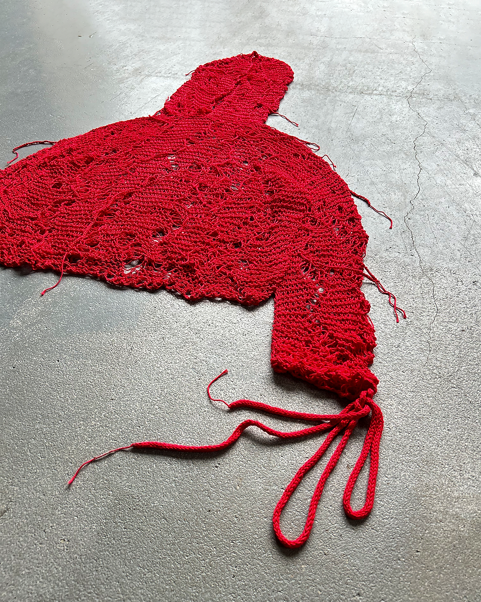 Thumbnail: [raw.] red knit hoodie