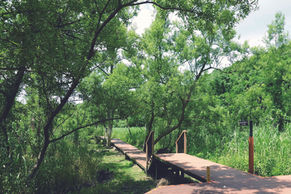 小網代・油壺エリア