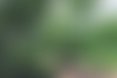 小網代・油壺エリア