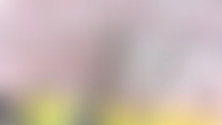 During the three-day weekend