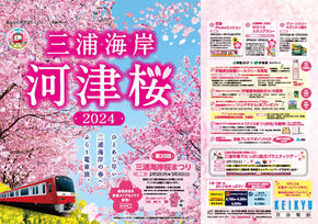 \桜まつりのご来場には京急をご利用ください~京急「三浦海岸河津桜2024」キャンペーンのご紹介/