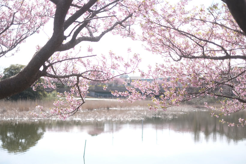 DSCF6743.JPG