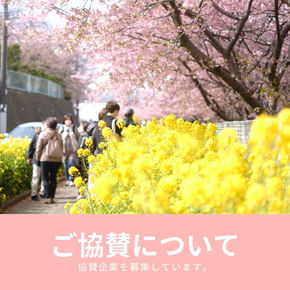 桜まつりへのご協賛企業募集について