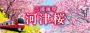 京急電鉄の桜まつり特設ページがオープン