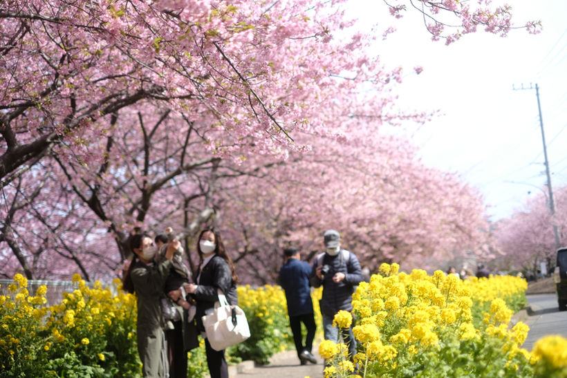 DSCF6892.JPG
