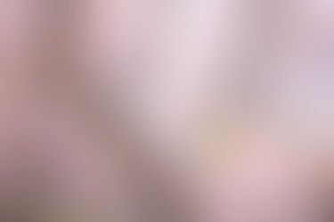 令和4年度第19回桜まつり開催決定!