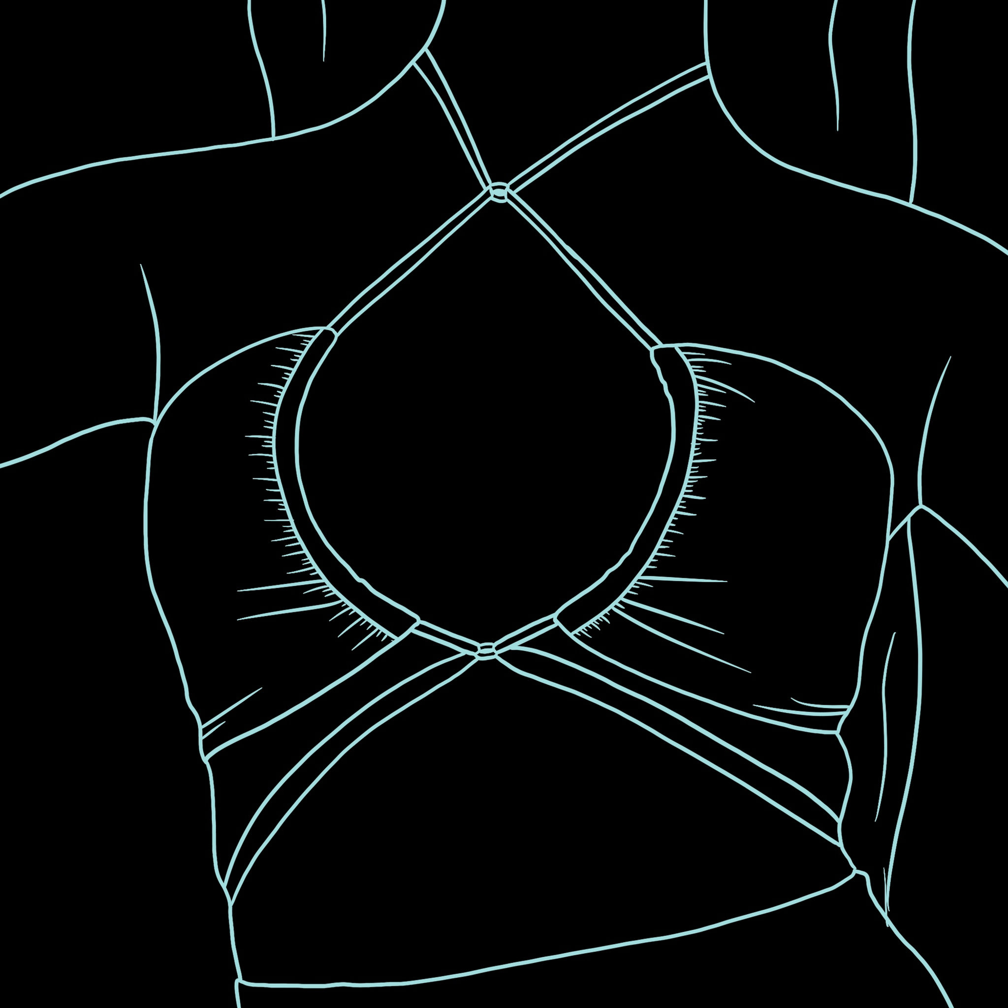 Custom Fabric Open Front Top