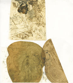 Scan 3.jpeg