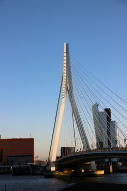 Singing bridge