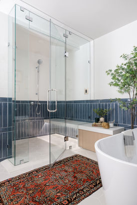 Condo shower shot with tub