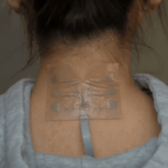 BandEI (1).gif