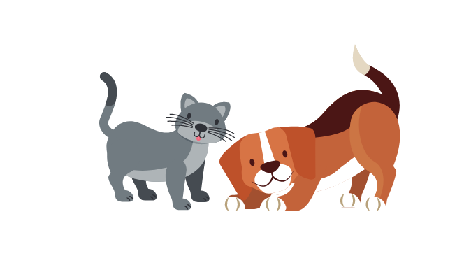 Pets and our mental wellness