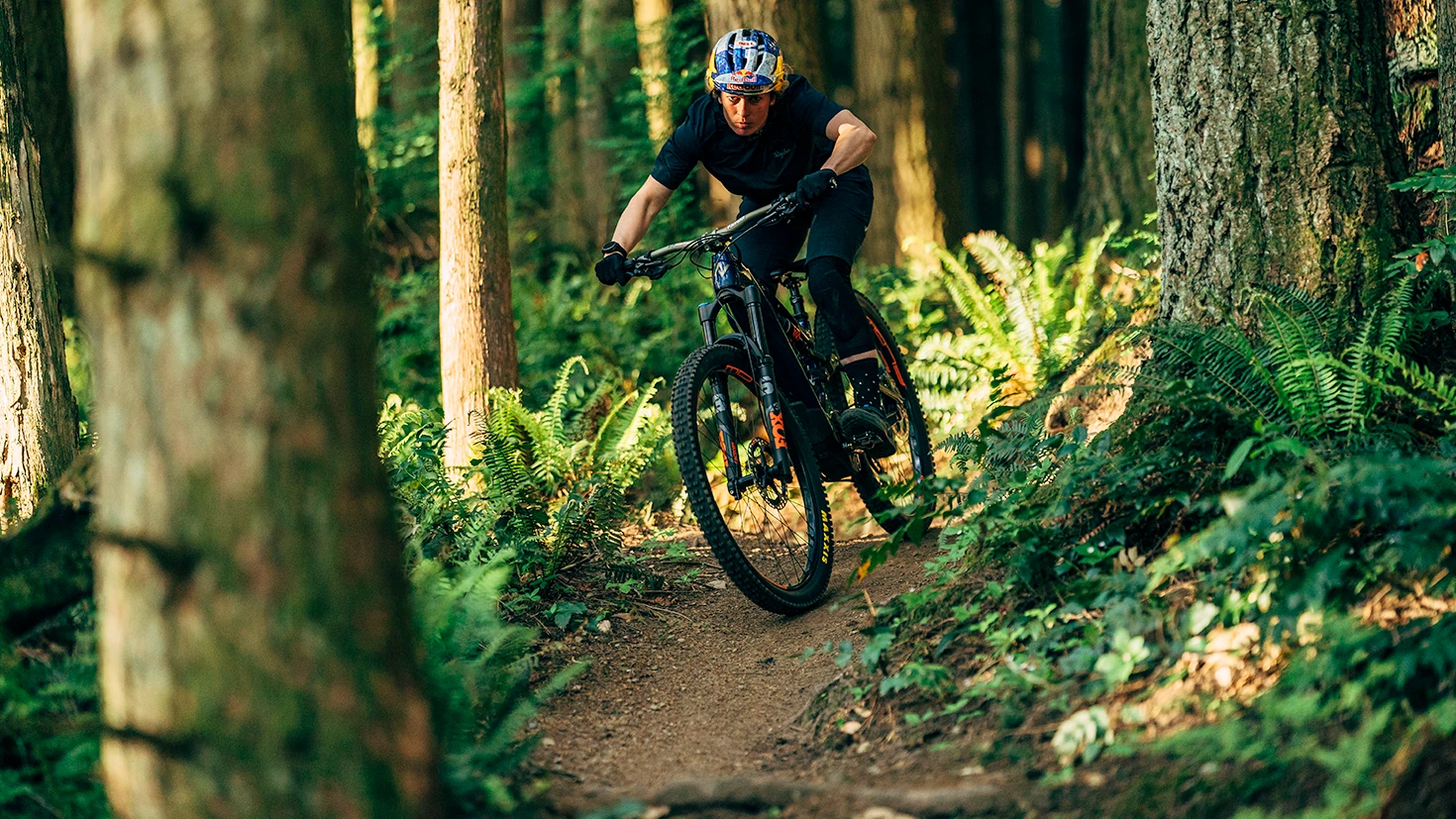 Norco ride 2025 aligned