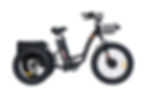 Electric Trikes