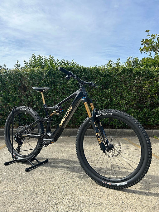 Amflow Bike three quarter view.jpeg