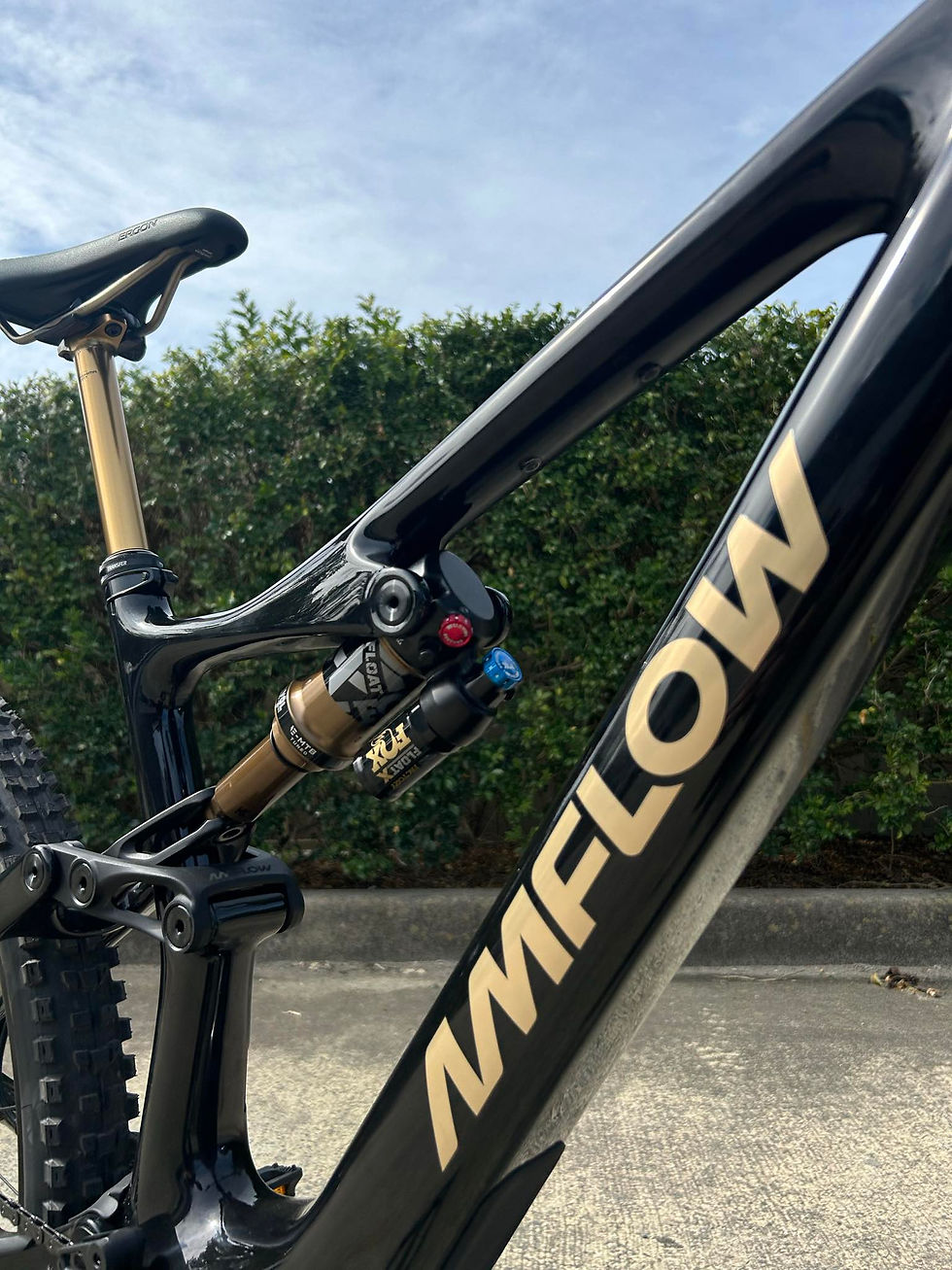 Amflow frame detail