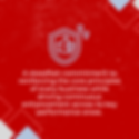 Buimerc Core Values 01.png