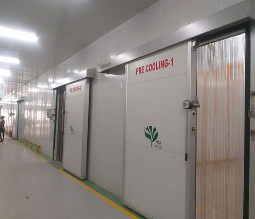 Cold+Room+-+Precooling+Chamber-640w.jpg