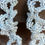 Thumbnail: Frilly Silver and Crystal