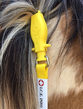 ManeStay horse mule equine ID identifcation tool evacuation rescue