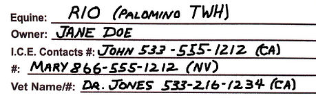 I.C.E. contact information form
